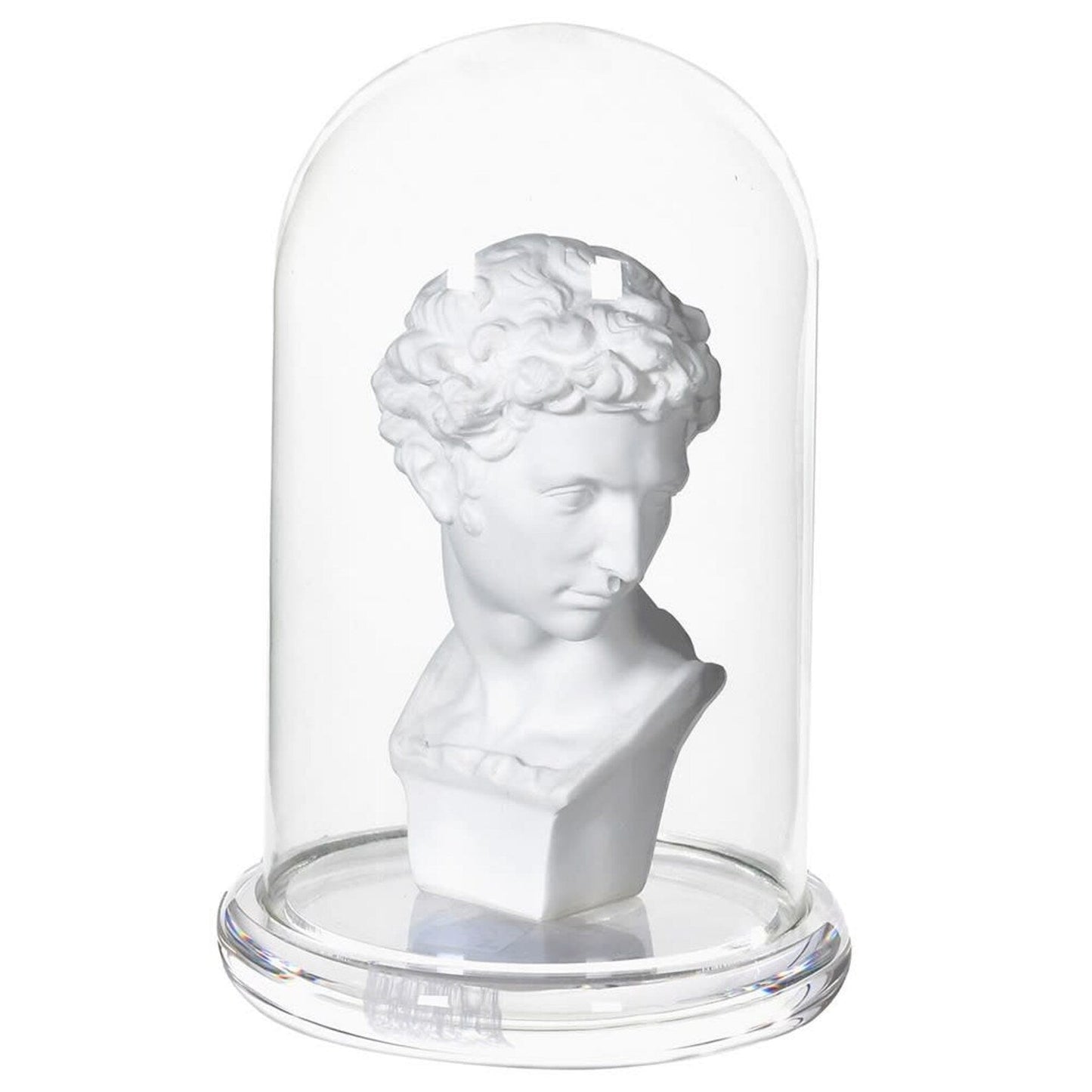 Bust in Glass Cloche