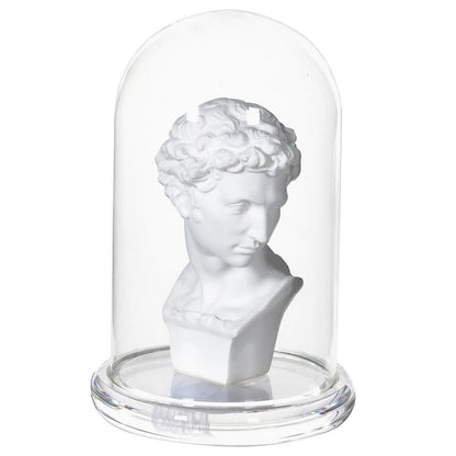 Bust in Glass Cloche