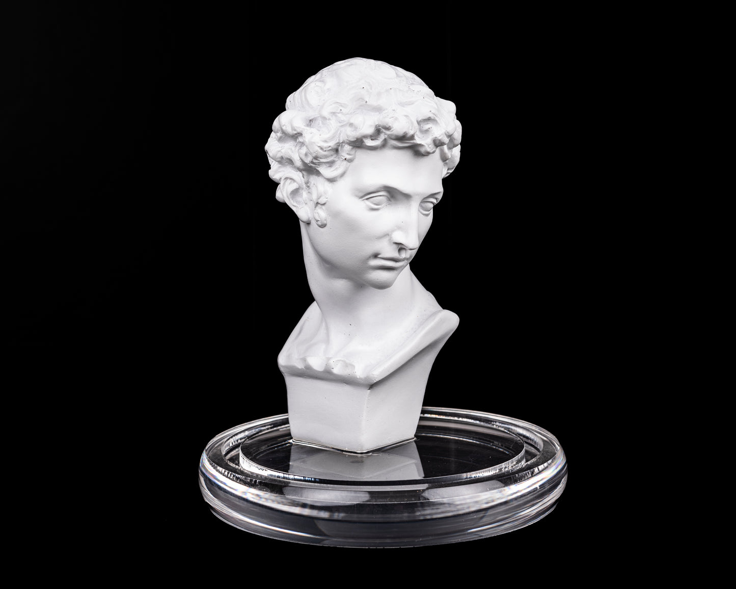 Bust in Glass Cloche