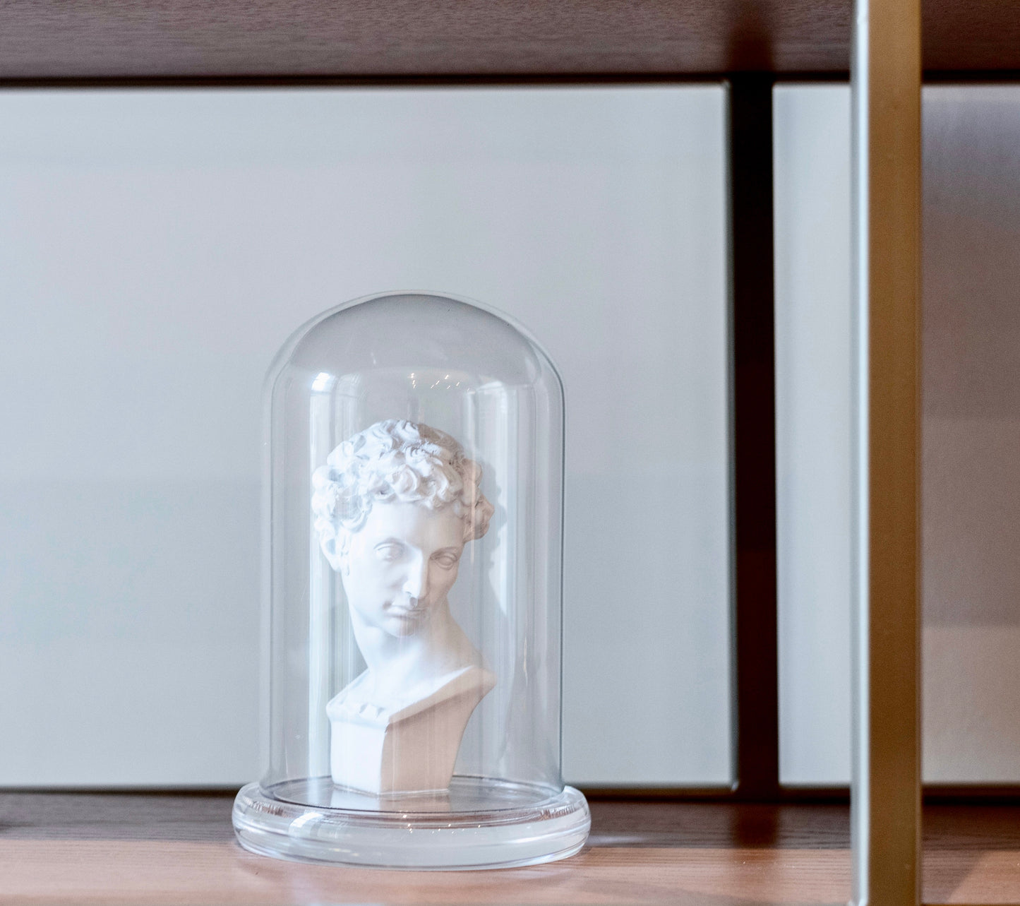 Bust in Glass Cloche