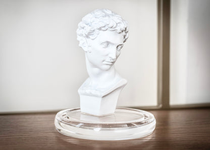 Bust in Glass Cloche